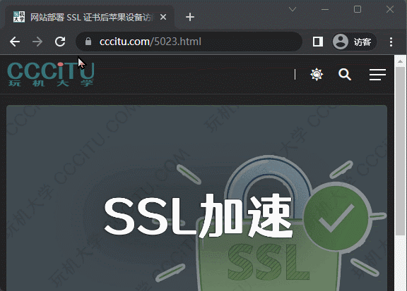 如何查询所用 SSL 证书的 OCSP 服务网址
