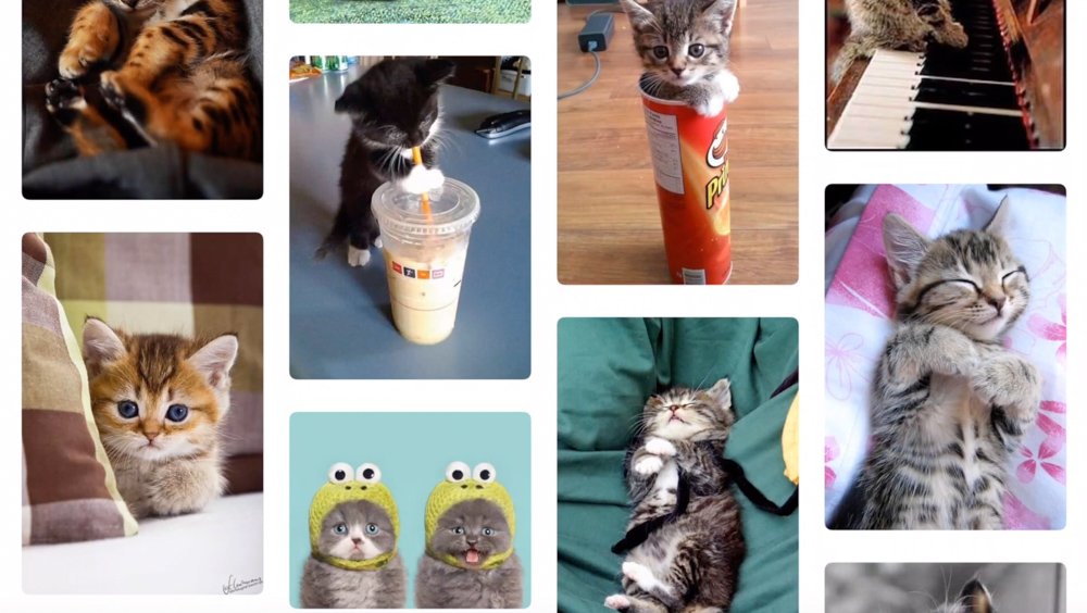 Pinterest：发现灵感与创意，最大的图片社交平台