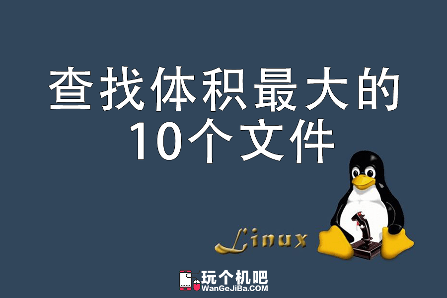 Linux命令：查找占用磁盘体积最大的10个文件
